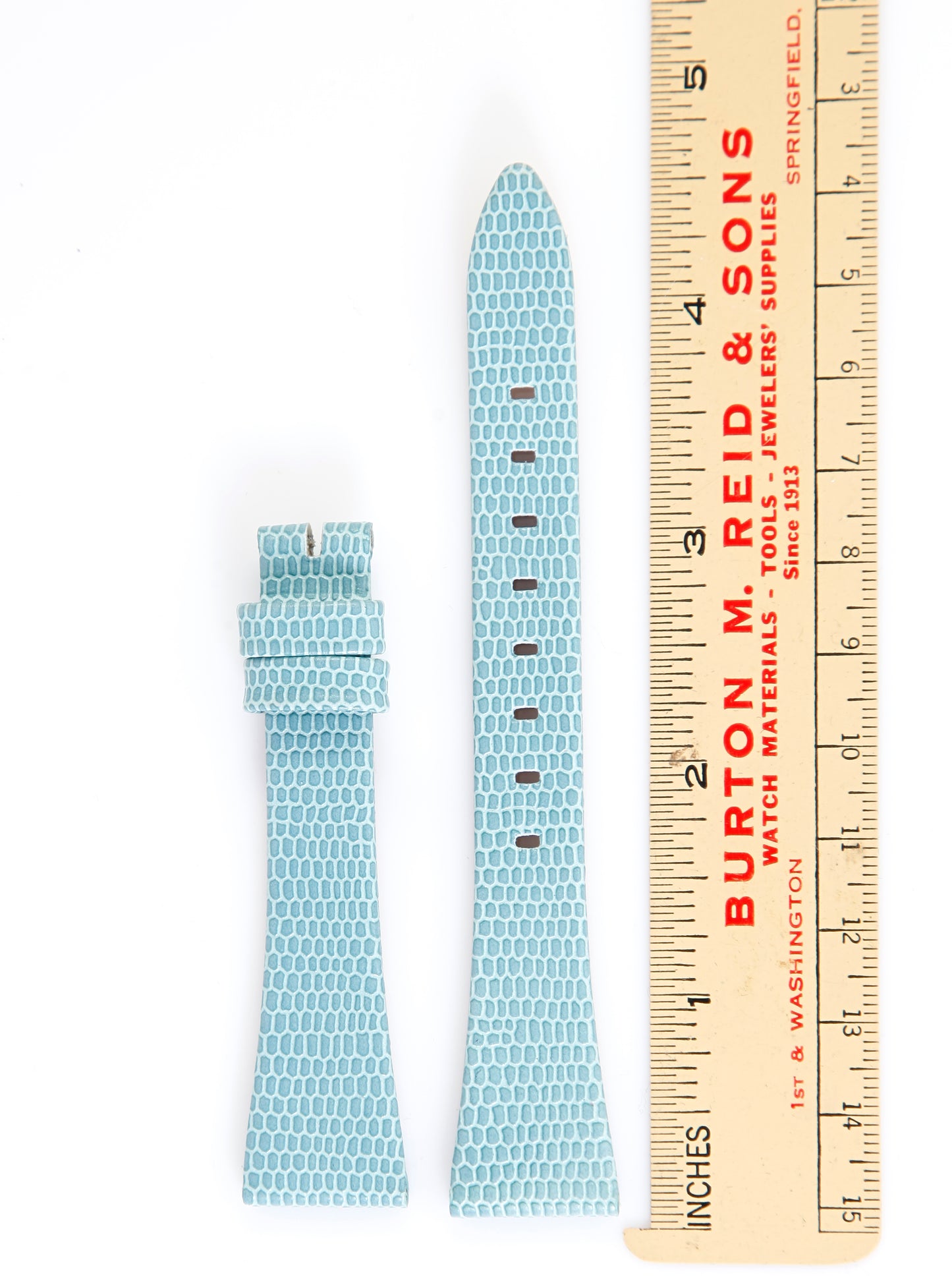 Ecclissi 18mm x 12mm Light Blue Leather Lizard Grain Strap 23230