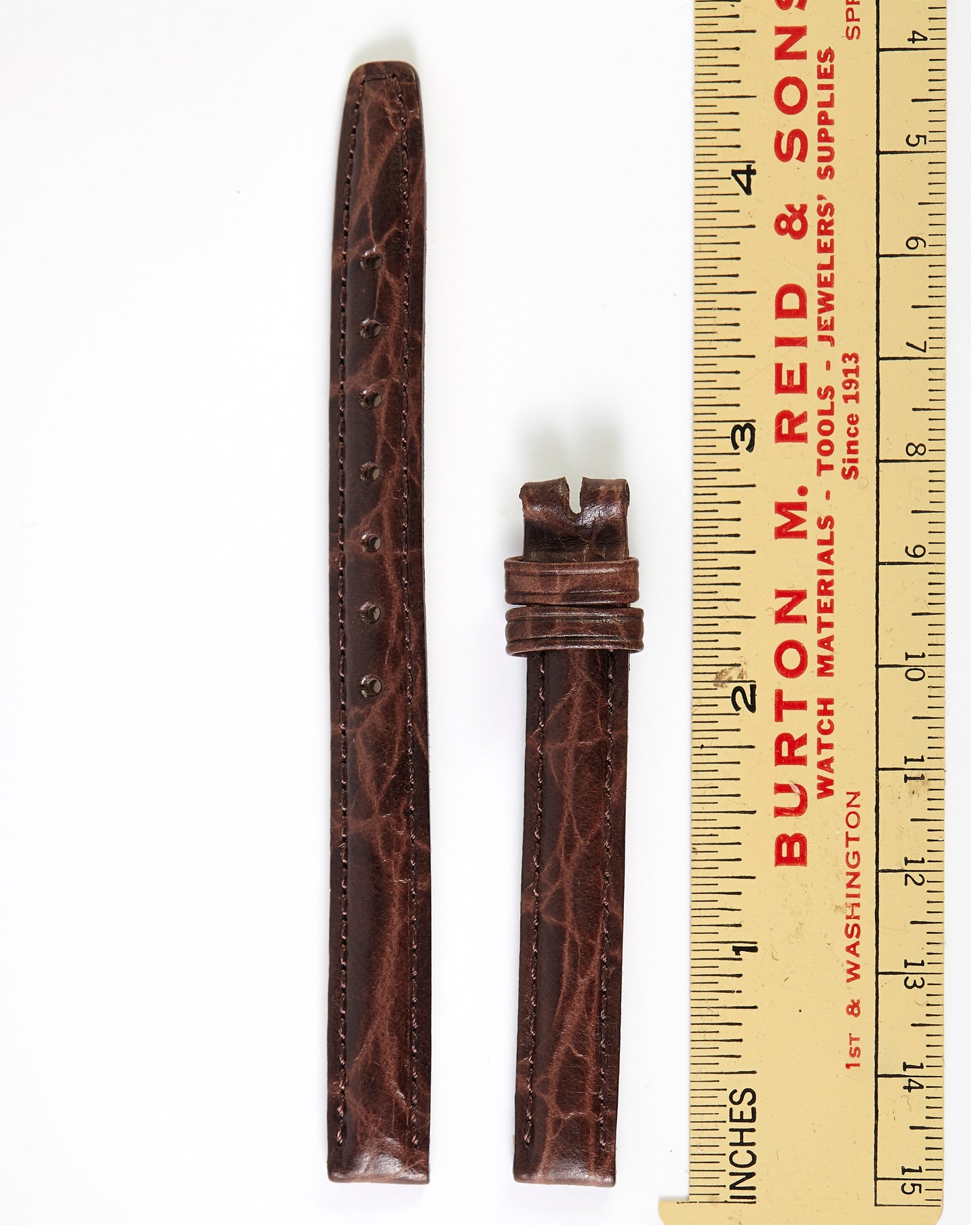 Ecclissi 10mm x 10mm Brown Crocodile Grain Leather Ladies Strap 22070