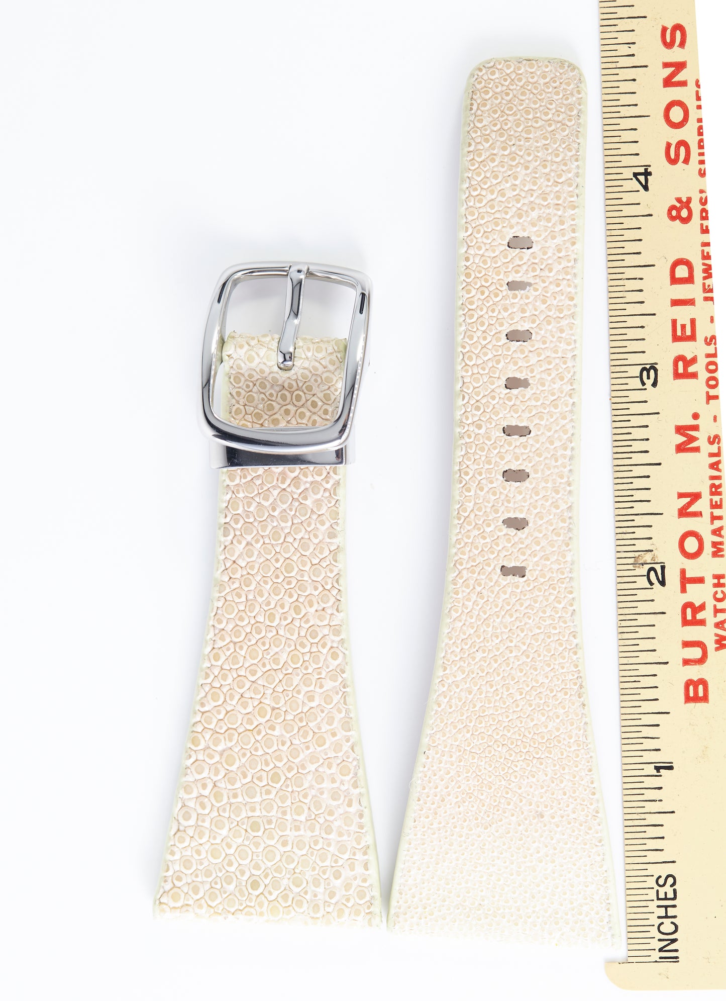 Ecclissi 30mm x 16mm Beige Stingray Strap 22805