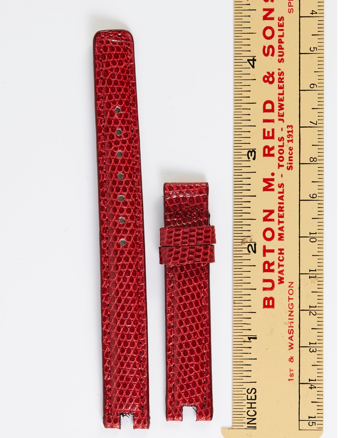 Ecclissi 12mm x 12mm Notched Red Lizard Strap 2040
