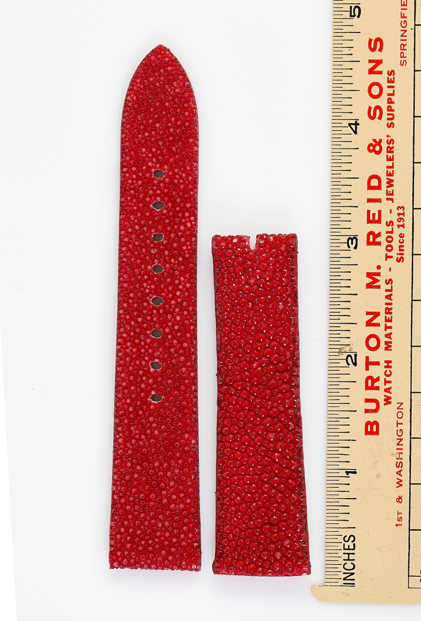 Ecclissi 20mm x 18mm Red Stringray Strap 12345