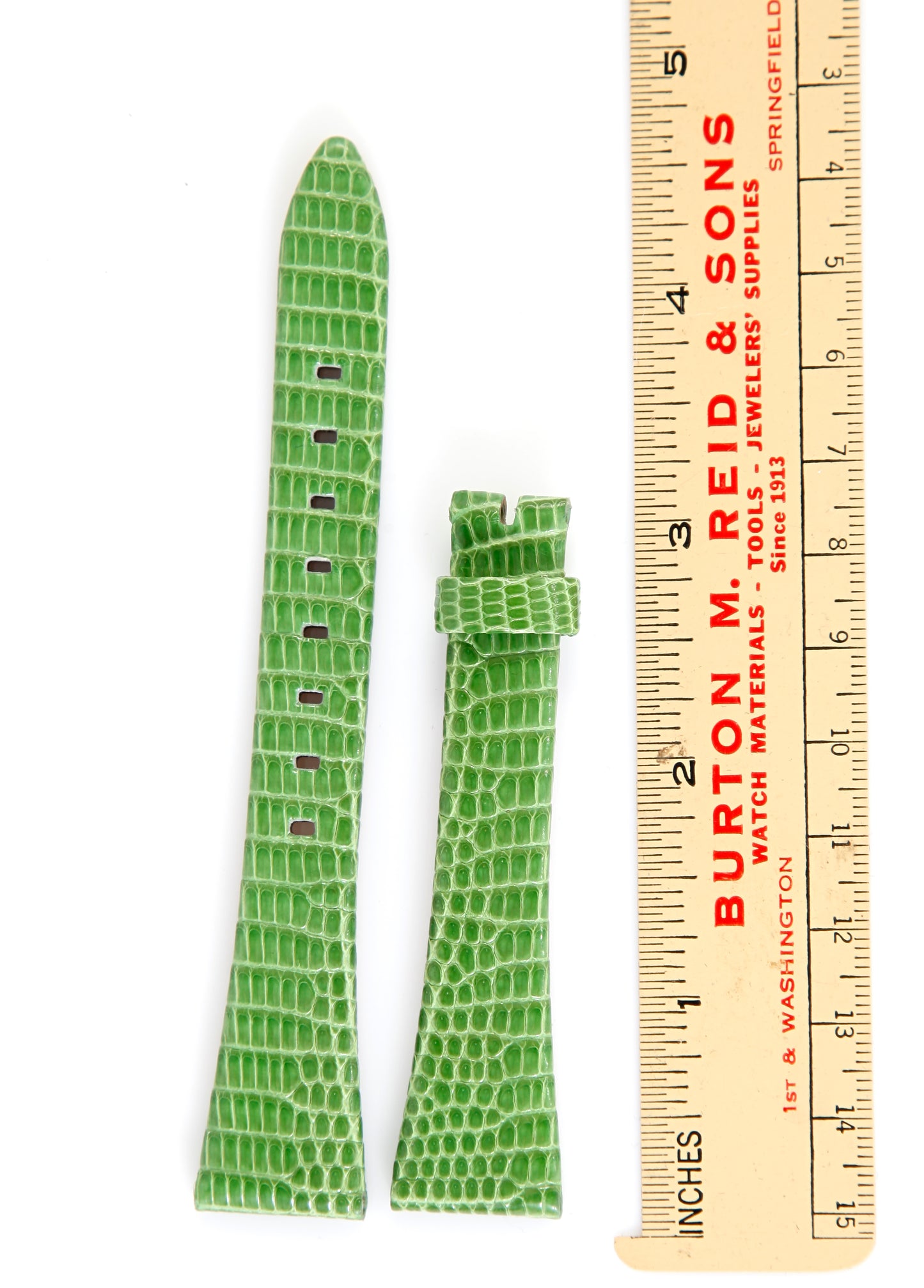 Ecclissi 18mm x 12mm Green Lizard Grain Leather Strap 23230