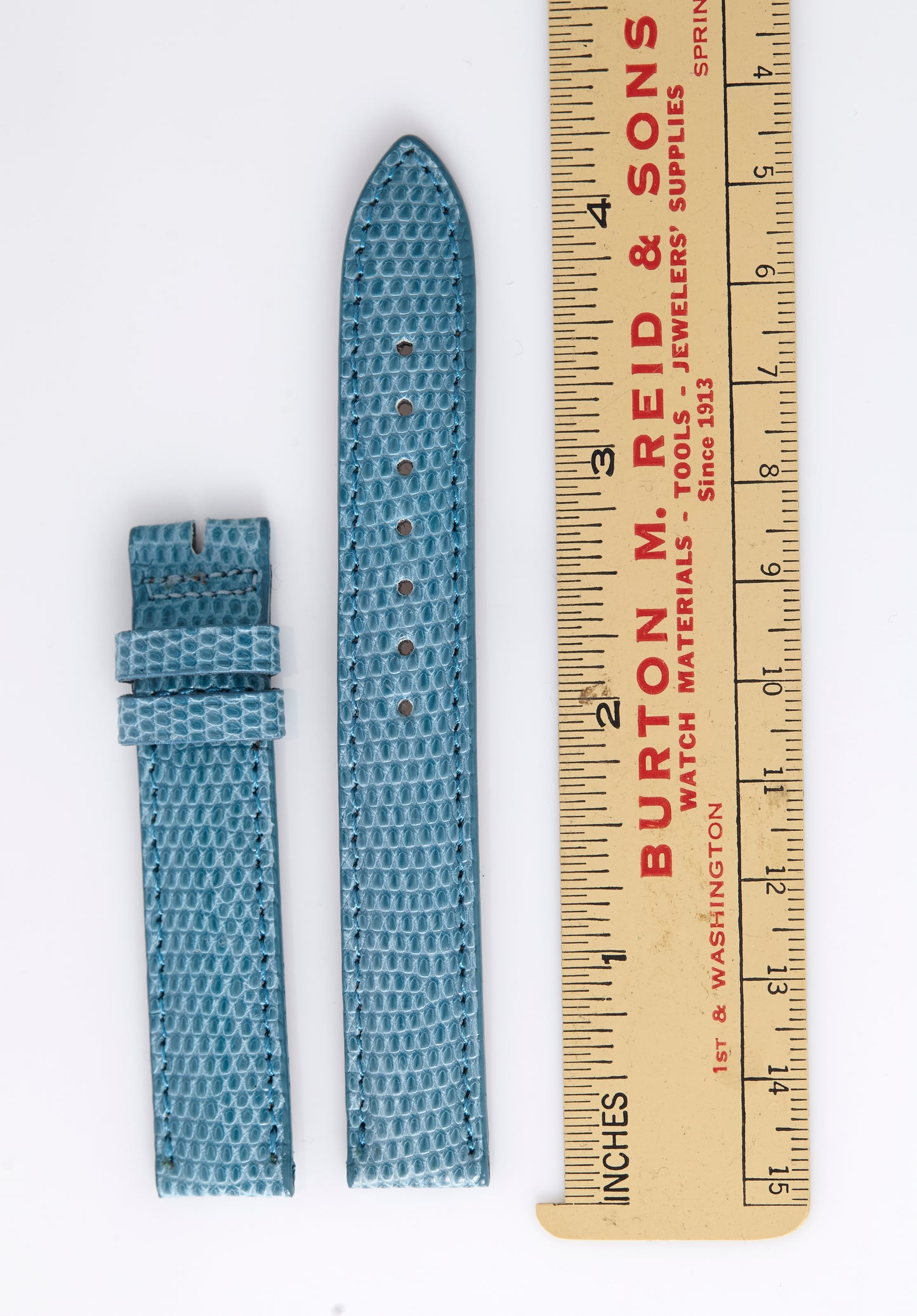 Ecclissi 14mm x 14mm Light Blue Lizard Strap 21880