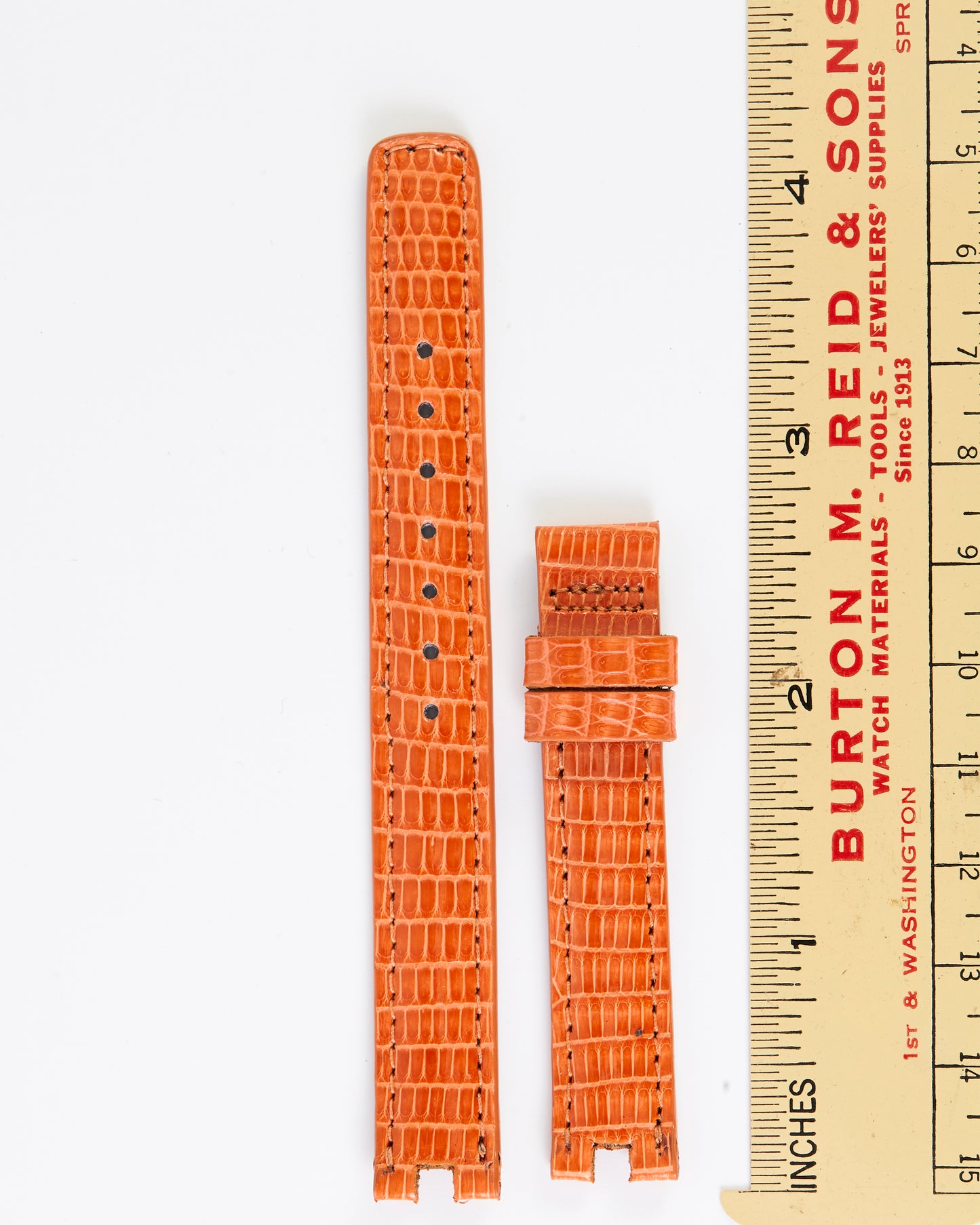 Ecclissi 12mm x 12mm Notched Orange Lizard Strap 2040