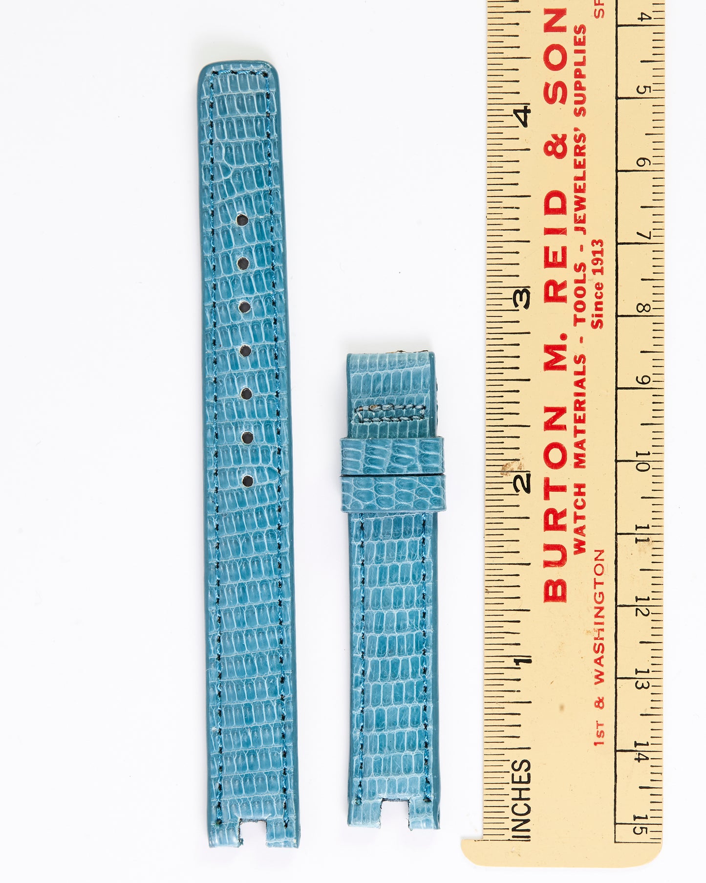 Ecclissi 12mm x 12mm Notched Light Blue Lizard Blue Strap 2040