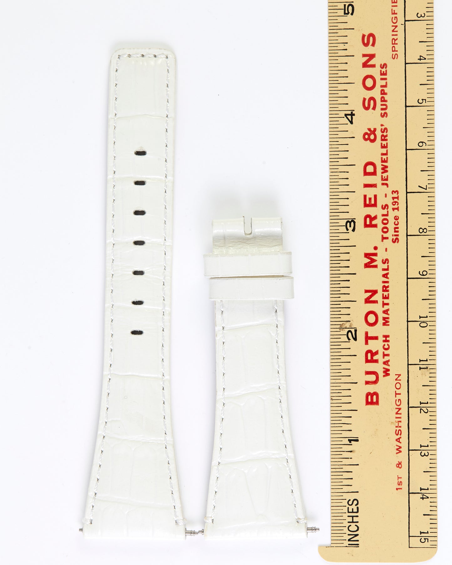 Ecclissi 24mm x 16mm White Alligator Grain Leather Strap 23905