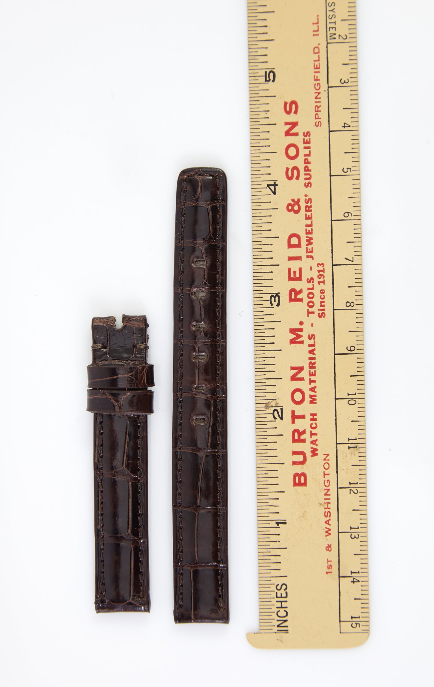 Ecclissi 12mm x 12mm Brown Alligator Leather Strap 21900