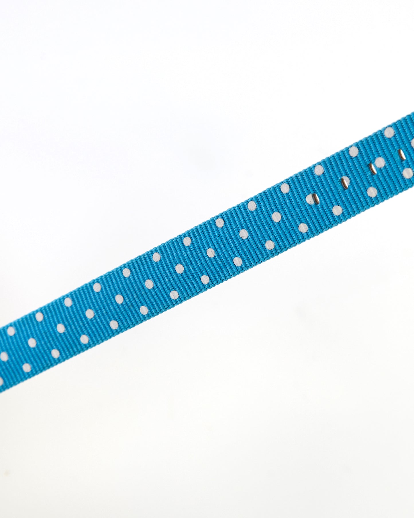 Ecclissi 12mm Light Blue Polka Dot Ribbon Leather Ladies One-Piece Strap 23180 23183