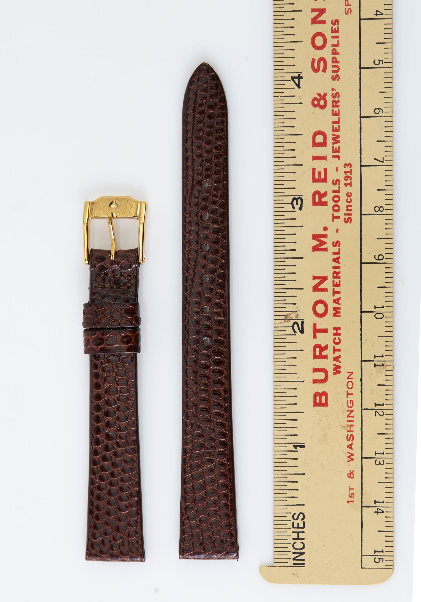 Movado Musuem Brown Lizard Strap 12mm x 10mm