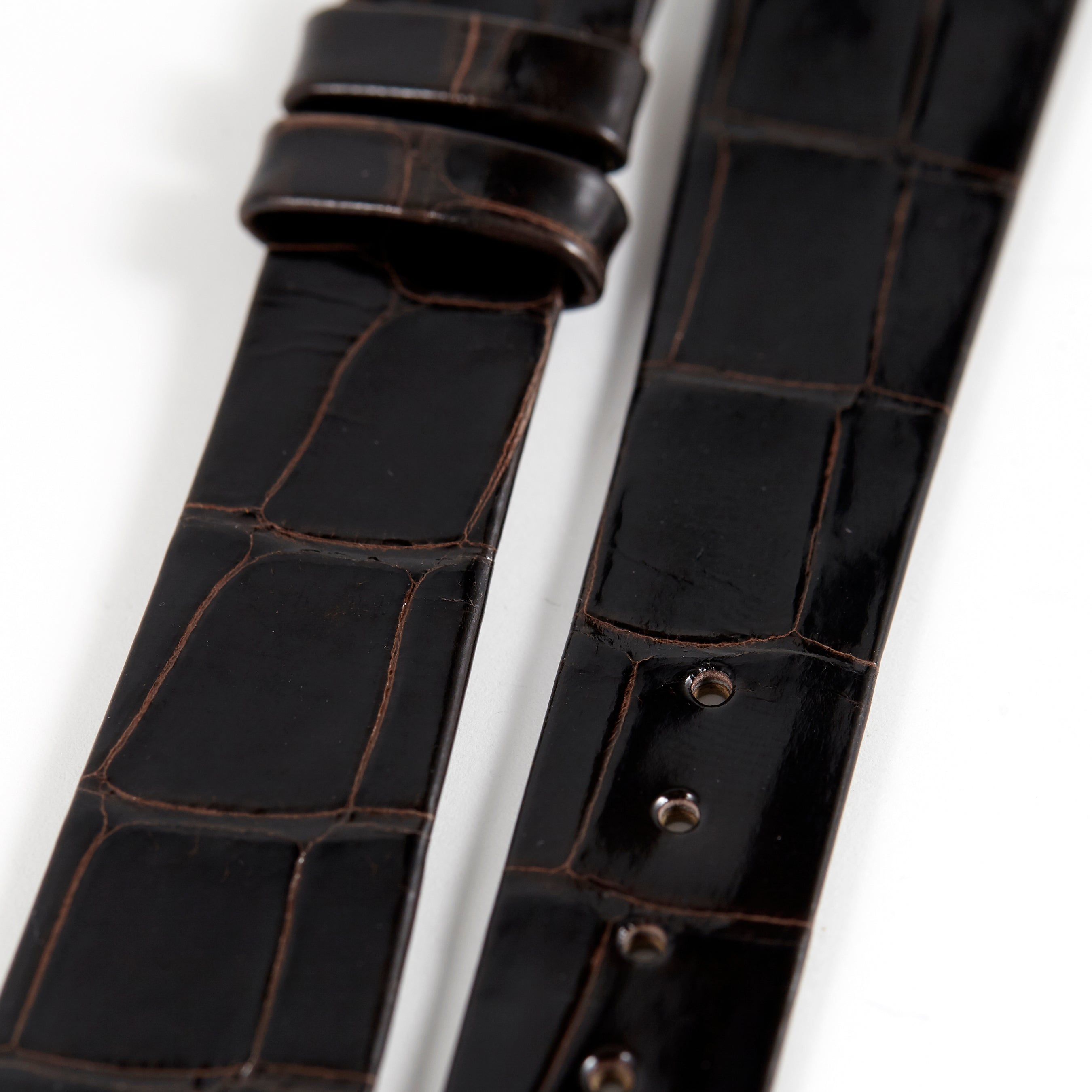 Patek Philippe Original OEM Shiny Dark Brown Flat Alligator Watch Stra –  Rewind Watch Shop