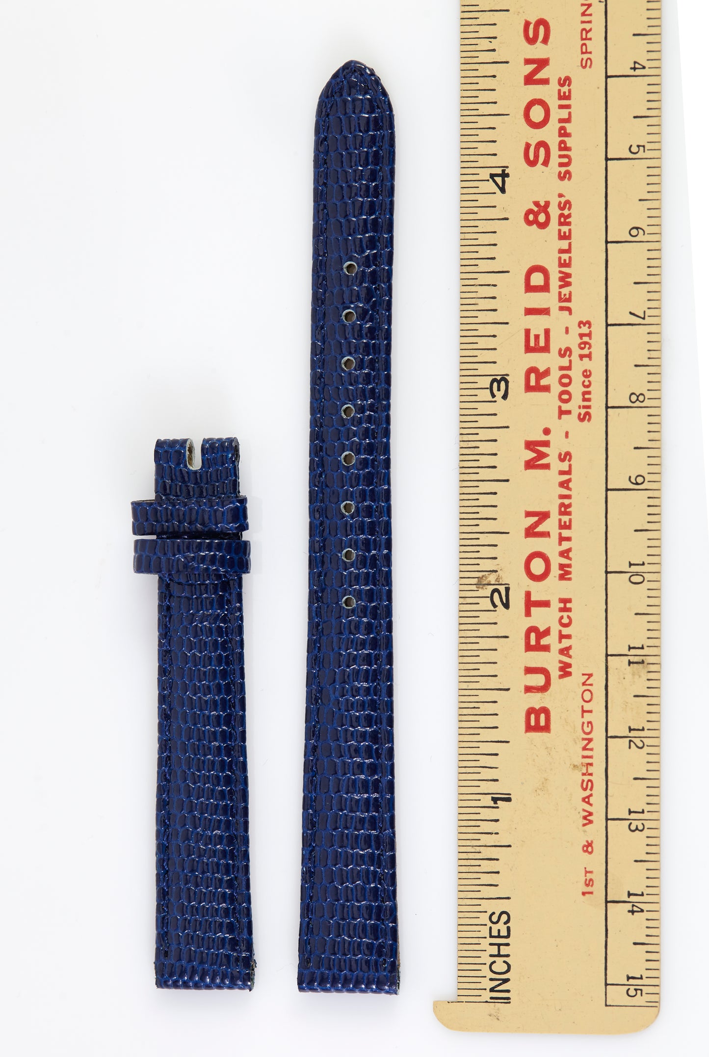 Ecclissi 12mm x 10mm Blue Leather Lizard Grain Strap 23510